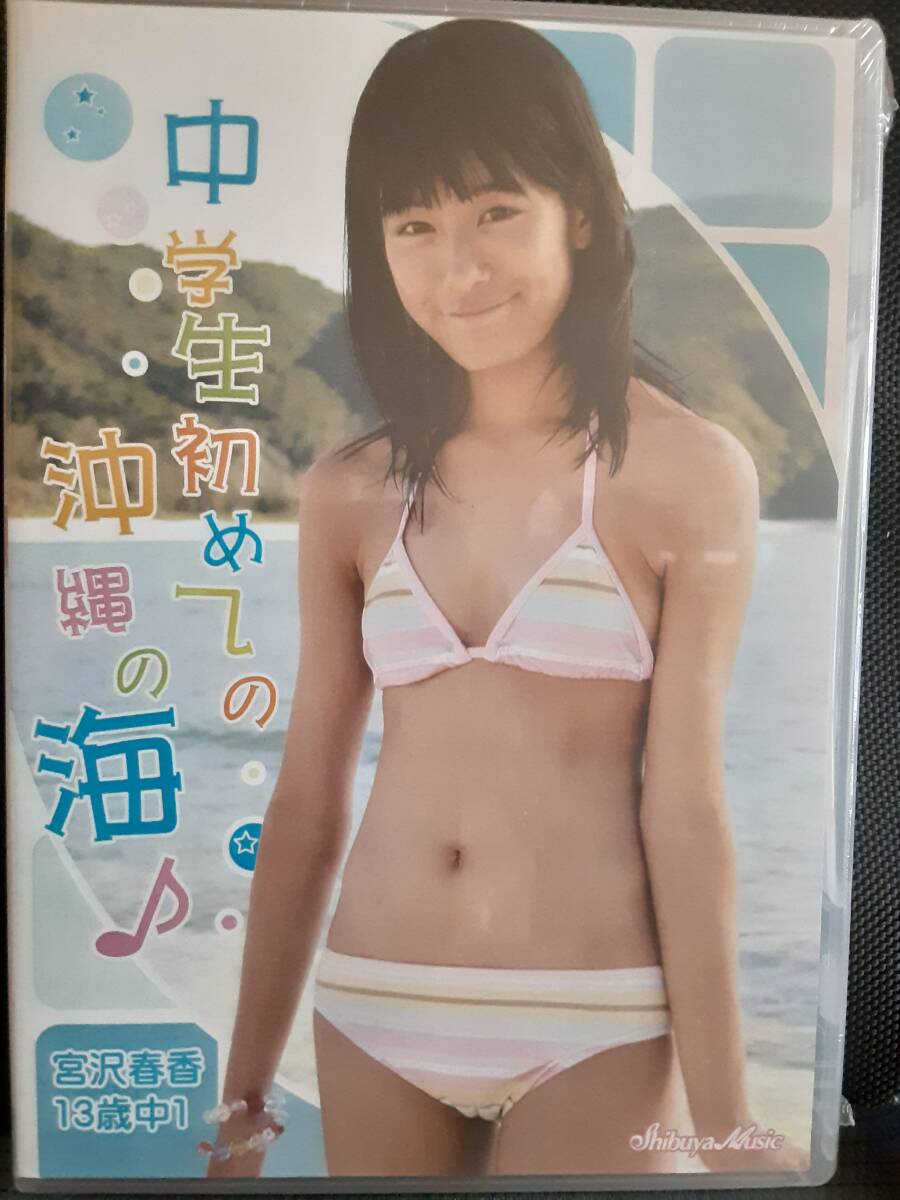 宮沢春香