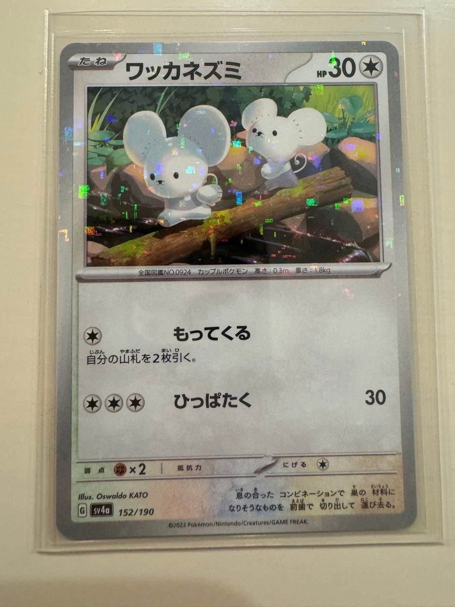 ポケモンカード イッカネズミ S シャイニートレジャーex SV4a 318/190