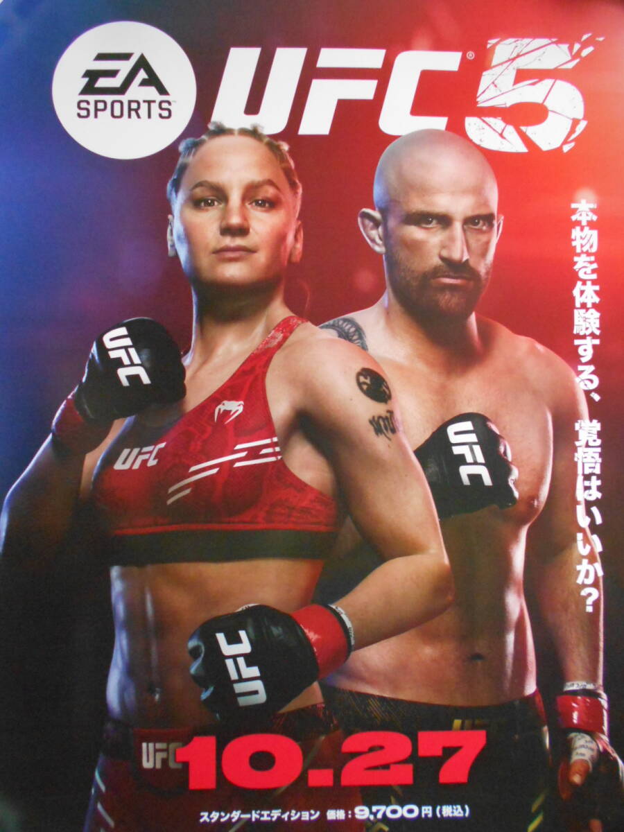 UFC poster