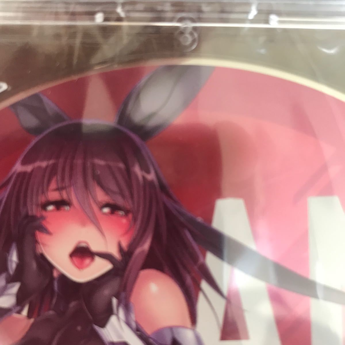 むっちり爆乳 食い込みスーツ 水城不知火 対魔忍ユキカゼ softcream 