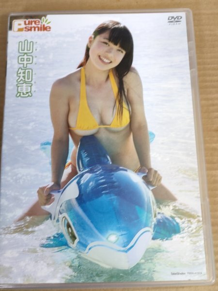 山中知恵 DVD