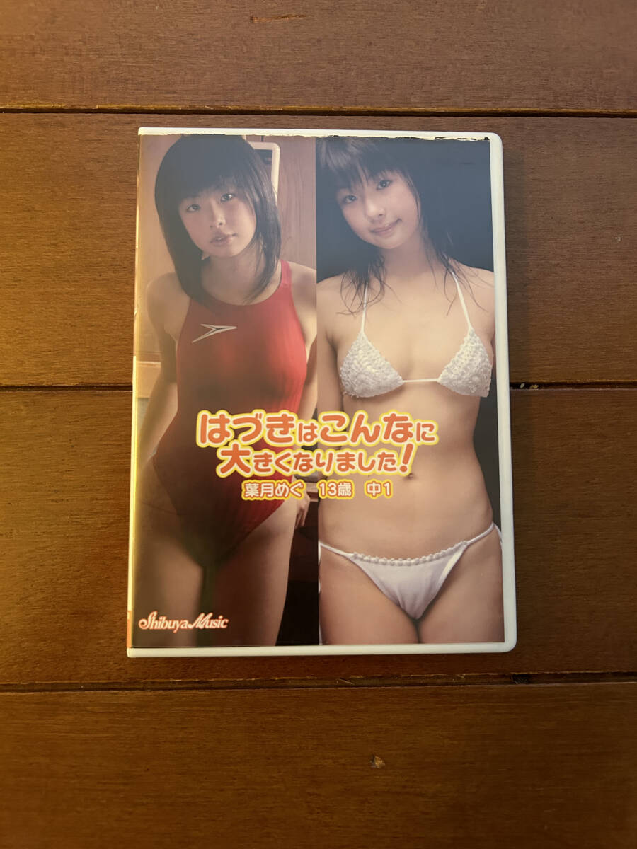 葉月めぐ DVD