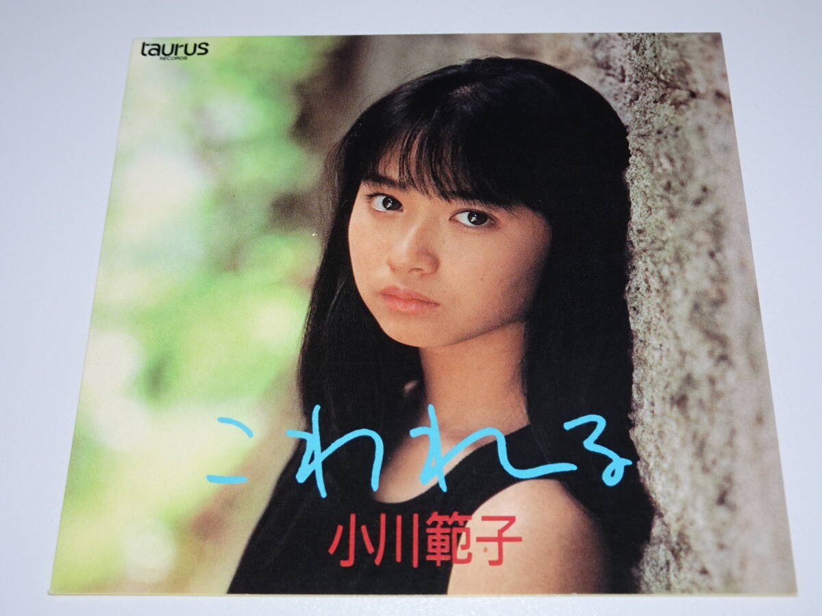小川範子