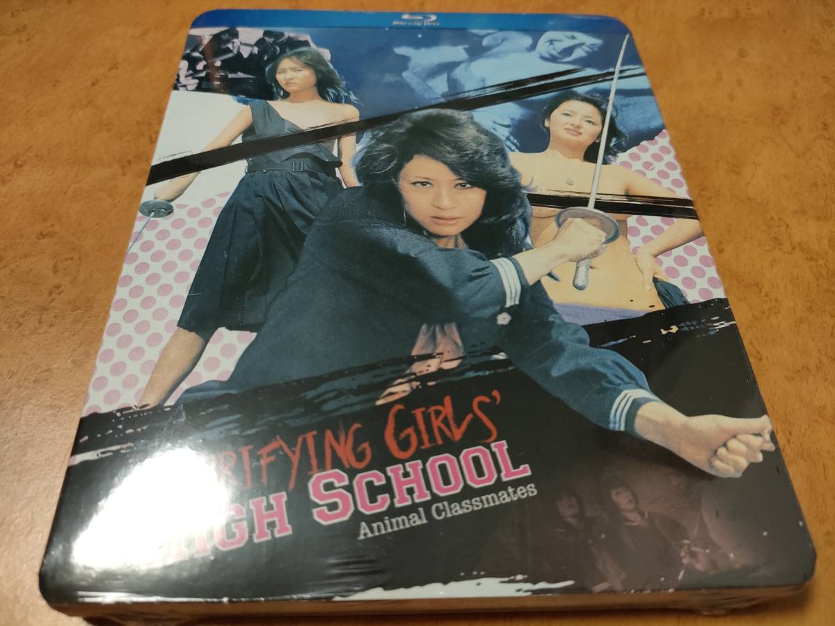 ub46257『恐怖女子高校 暴行リンチ教室』B2判ポスター 杉本美樹