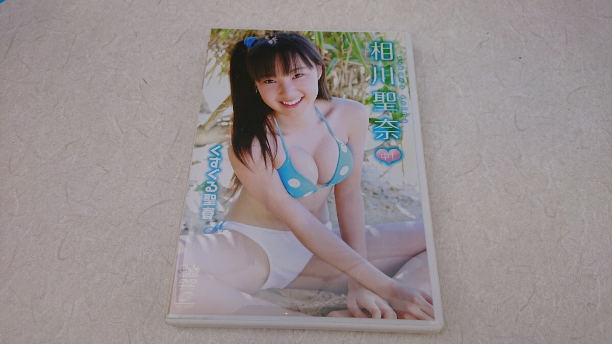 相川聖奈 dvd