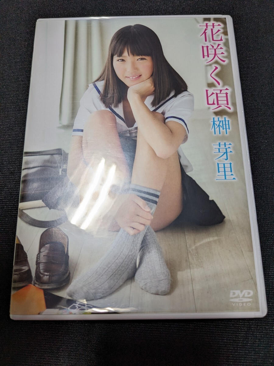 榊芽里 dvd