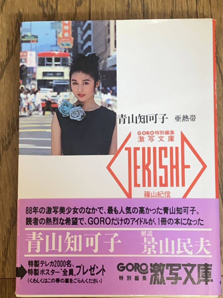 青山知可子 写真集