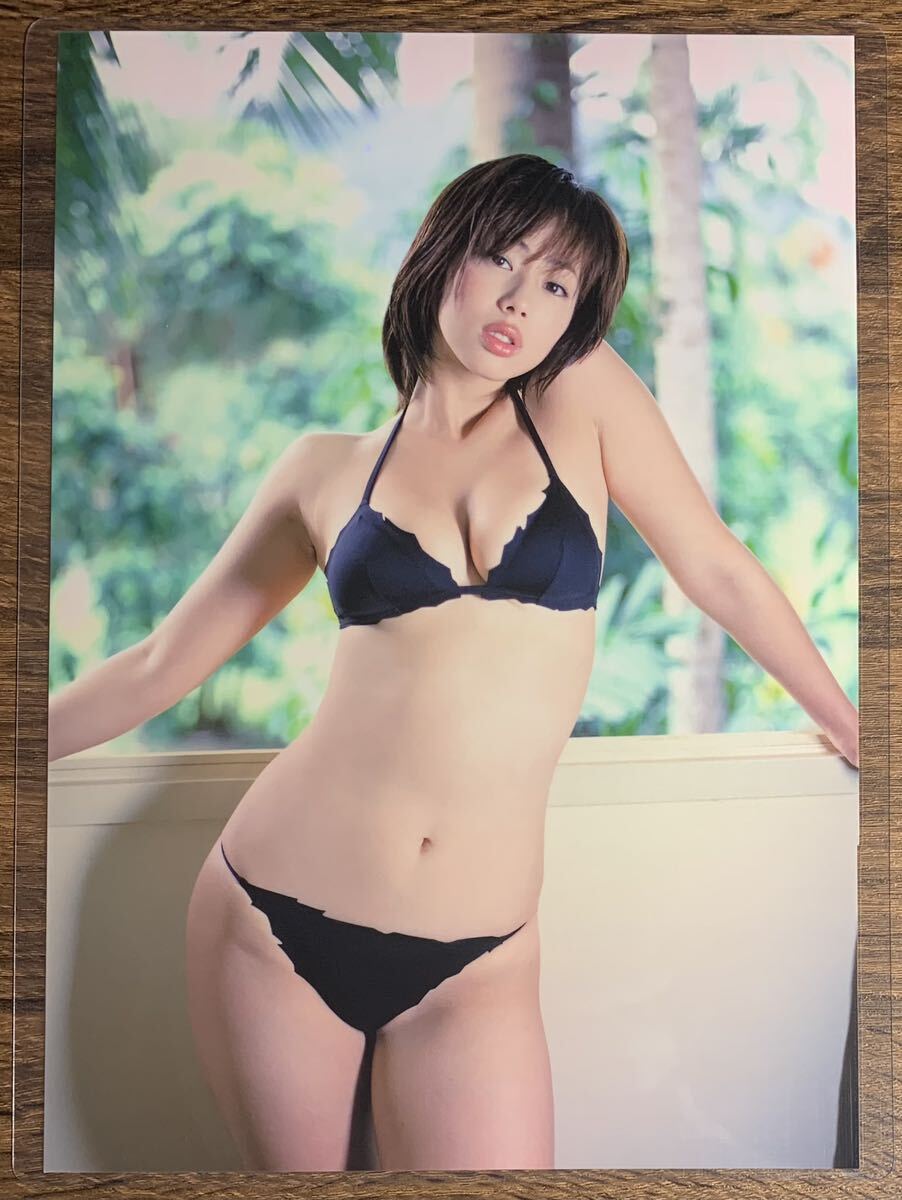 井上和香 水着