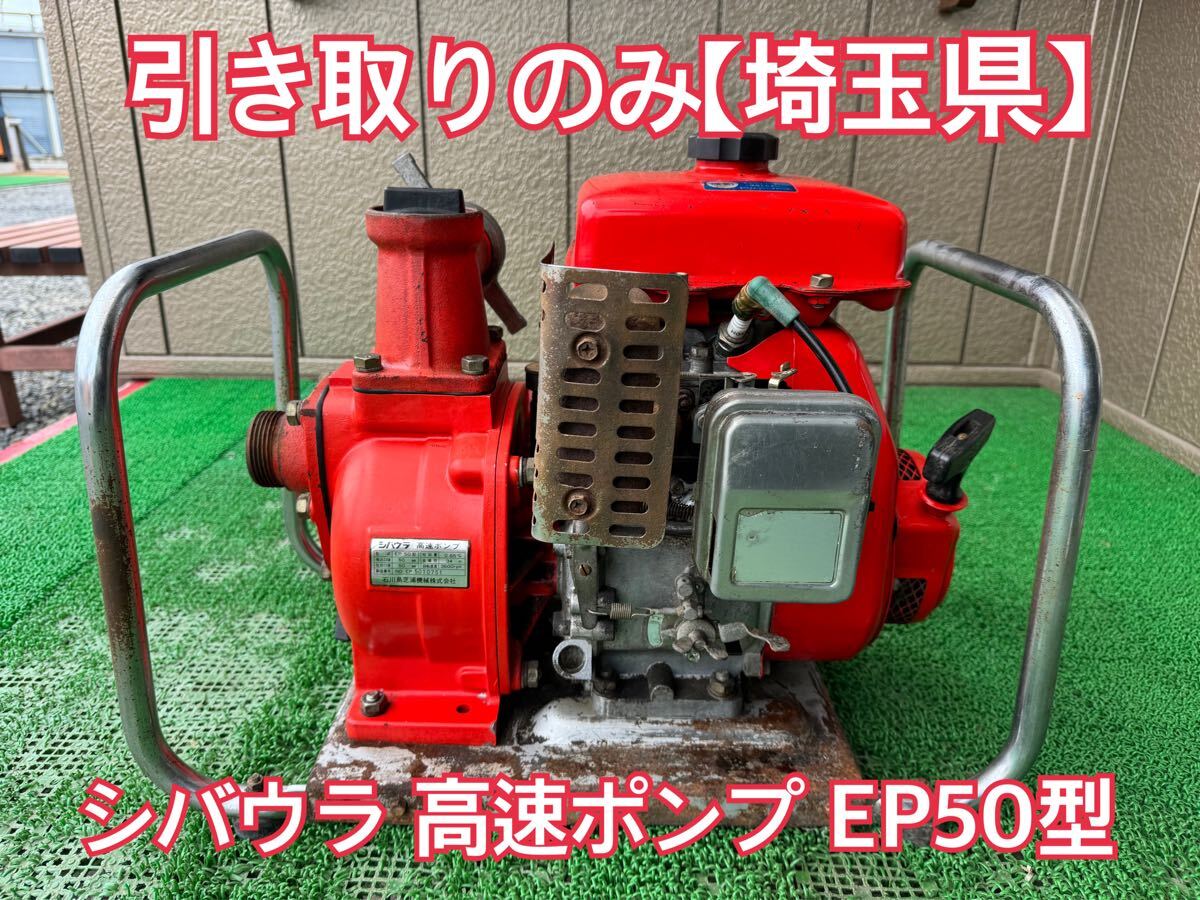 シバウラ