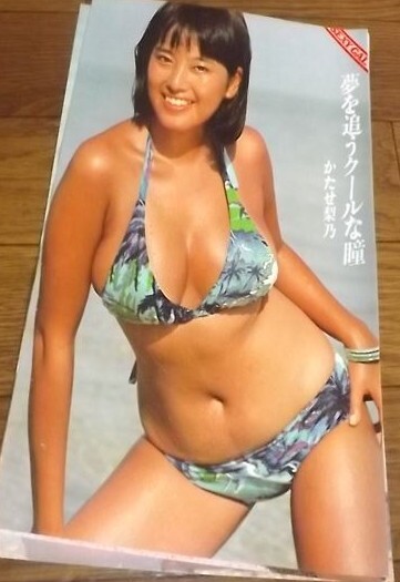 かたせ梨乃水着