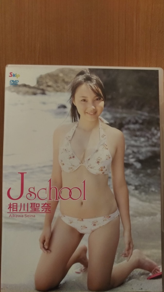 相川聖奈 dvd