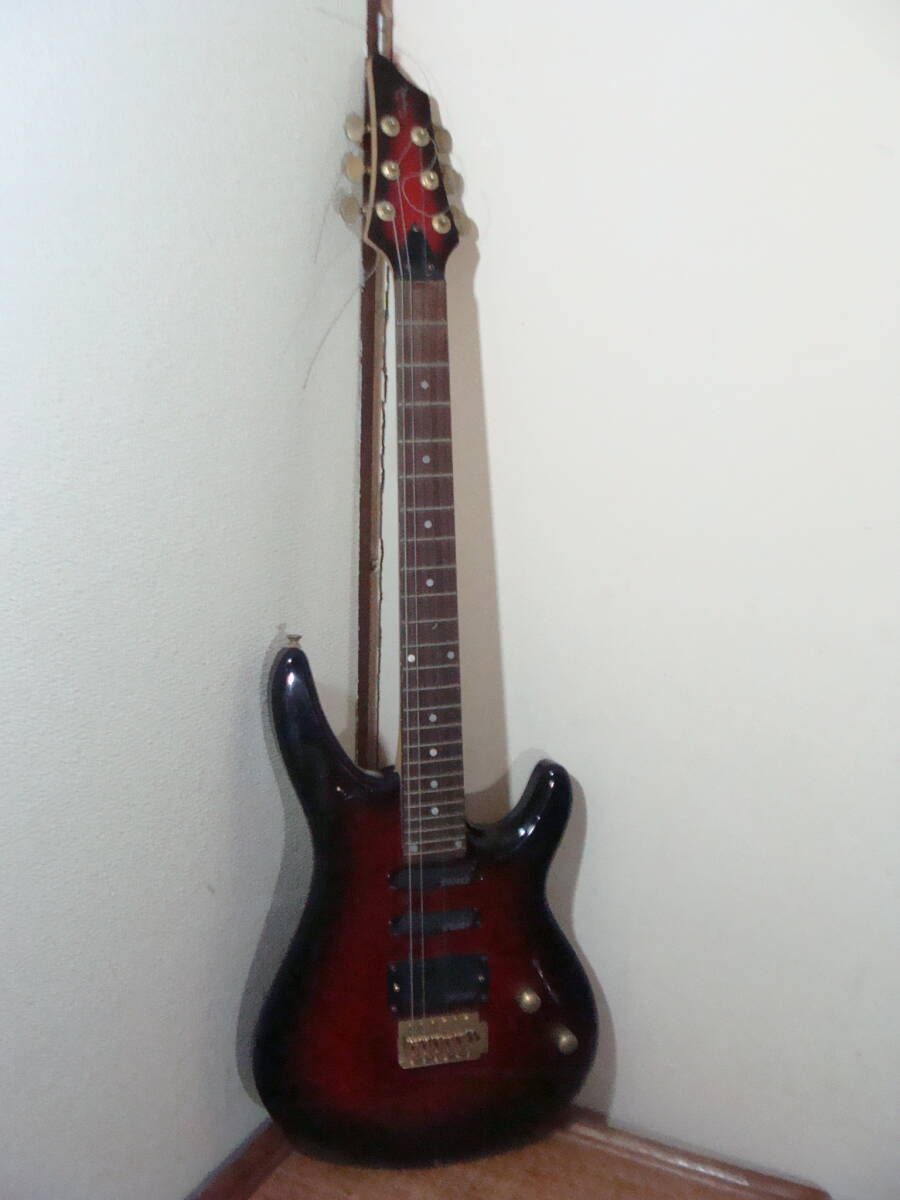 Jagard ジャガード エレキギター FERNANDES エレキギター デインキー