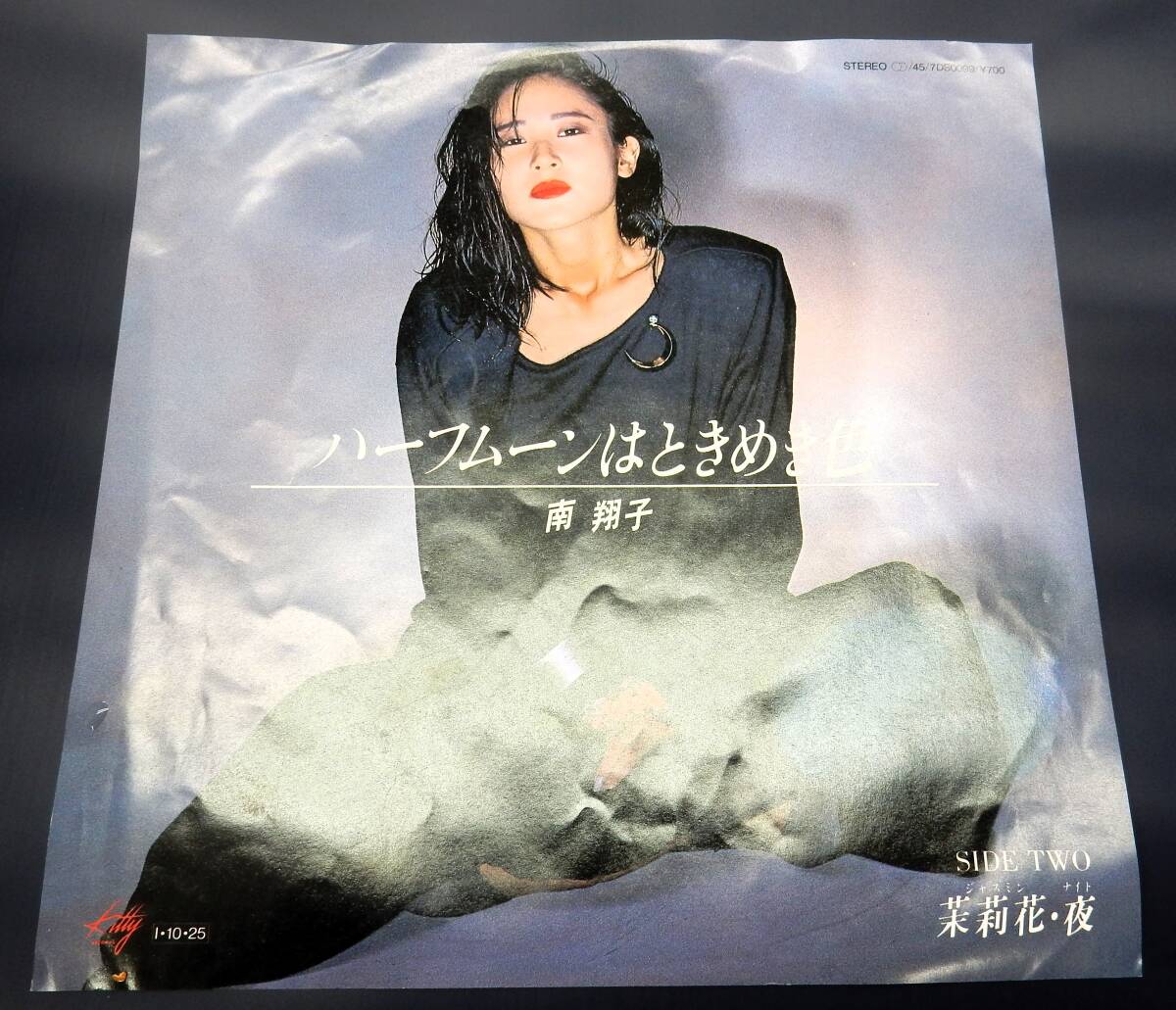南翔子