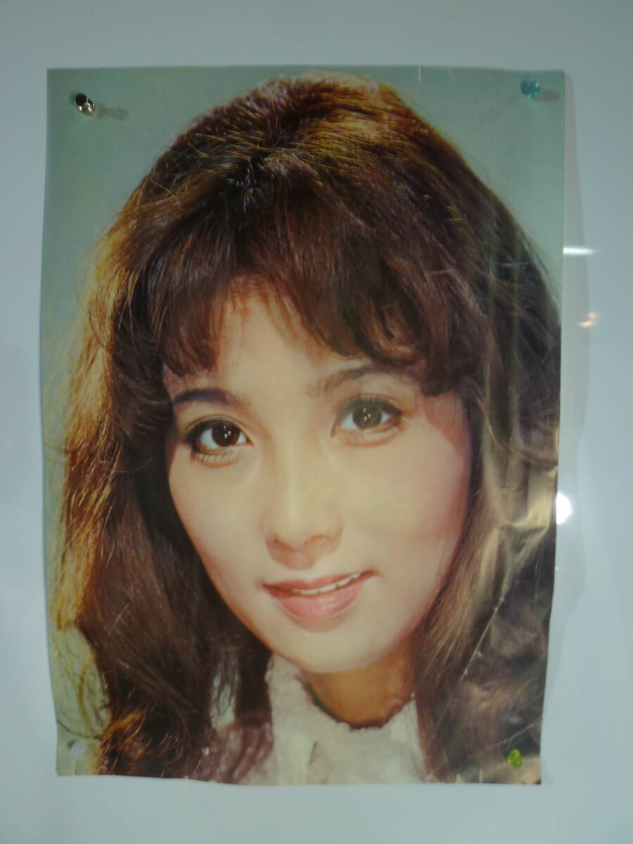大原麗子」のアイデア 11 件【2025】 | 大原麗子, 麗子, 大原