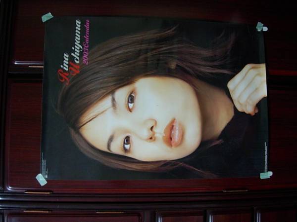 内山理名(1冊200円計算)144冊分約250ページ　切り抜きしファイリング済み 內山理名